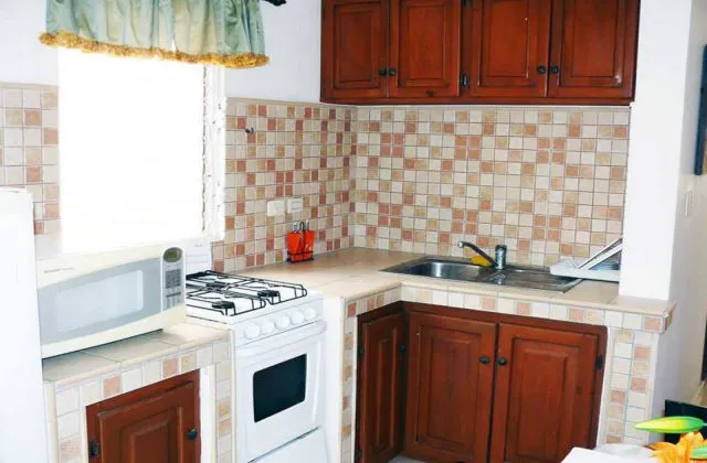 Oasis Guayacanes Apartment kitchen